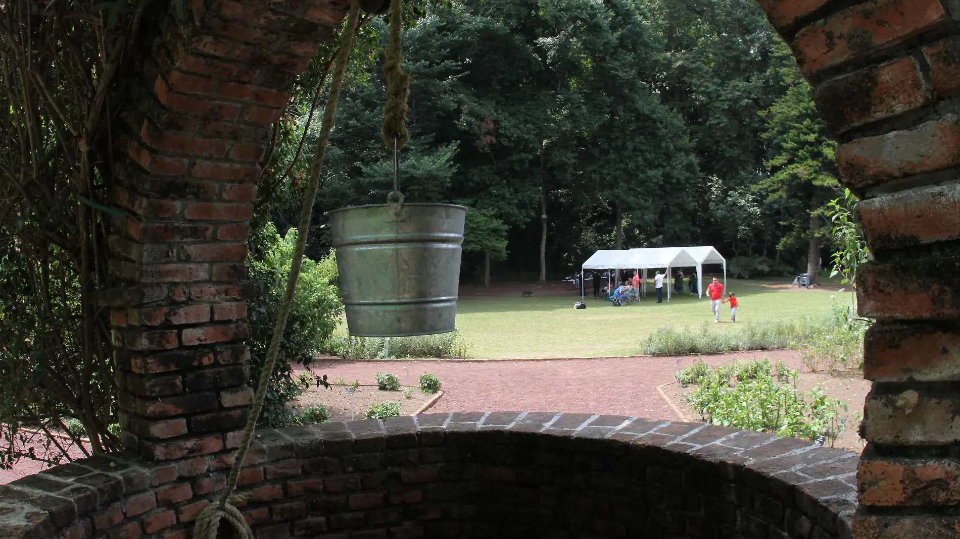 Akeri Cruz Bonilla | Jardín Botánico del Instituto de Ecología